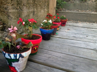 6 painted pots on the deck